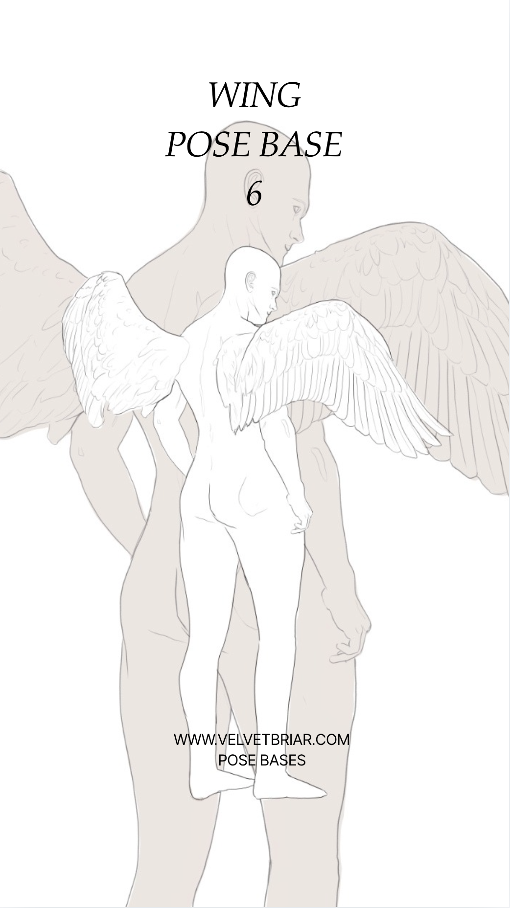 Wing Pose | BASE 6