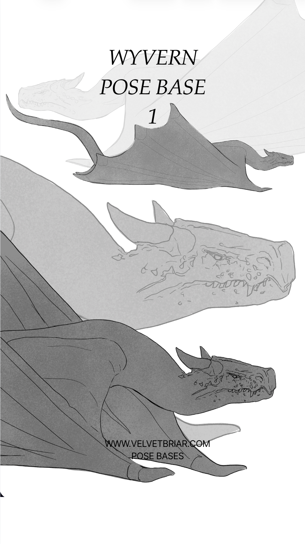 Wyvern Pose | BASE 1
